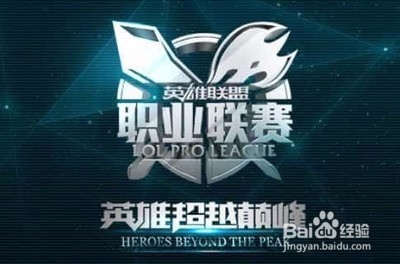 张玉宁提到