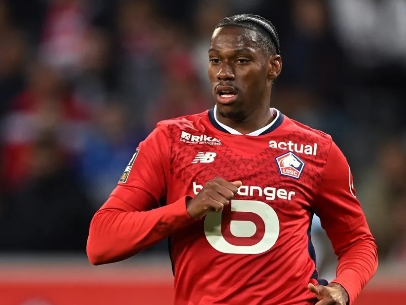 意见和建议 意见和建议