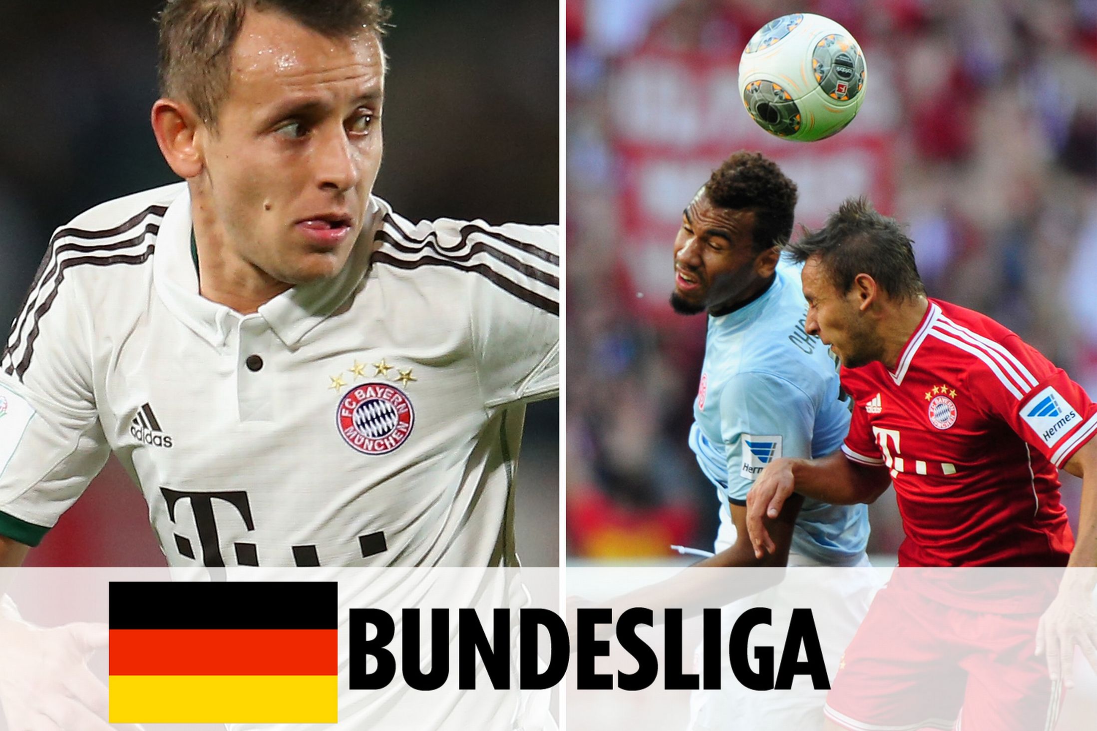 在本场都找 在本场都找